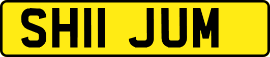 SH11JUM