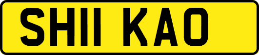 SH11KAO