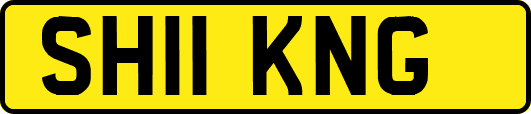 SH11KNG