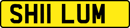 SH11LUM