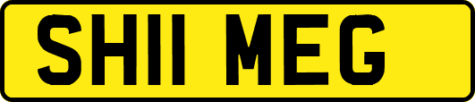 SH11MEG