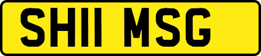 SH11MSG