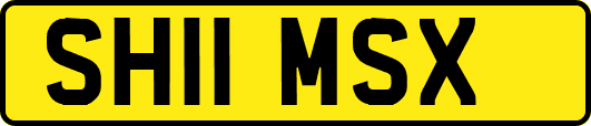 SH11MSX