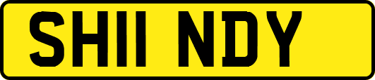 SH11NDY