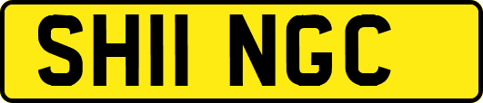 SH11NGC