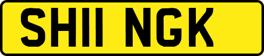 SH11NGK