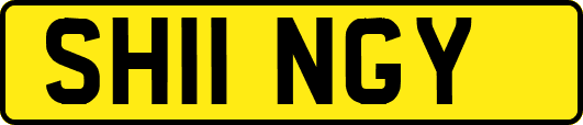 SH11NGY