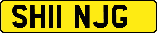SH11NJG