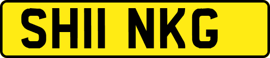 SH11NKG