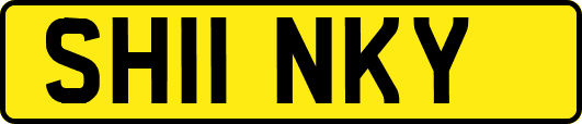 SH11NKY
