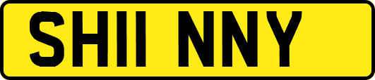 SH11NNY