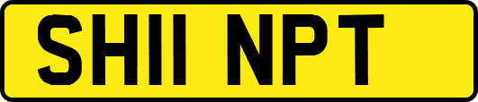 SH11NPT