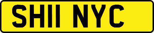 SH11NYC