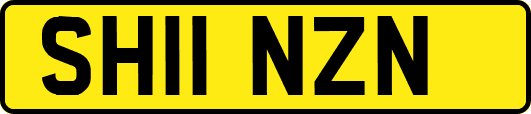 SH11NZN