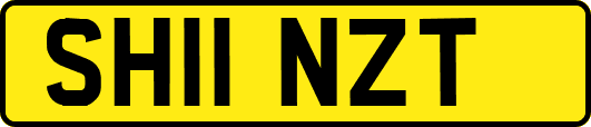 SH11NZT
