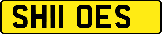 SH11OES