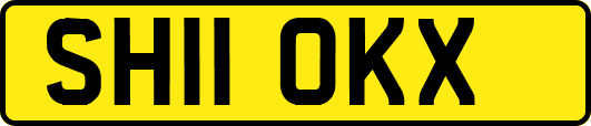 SH11OKX