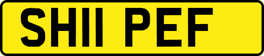 SH11PEF