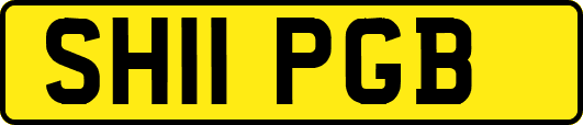SH11PGB