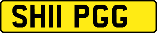 SH11PGG