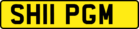 SH11PGM