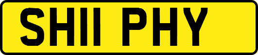 SH11PHY