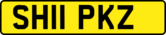 SH11PKZ