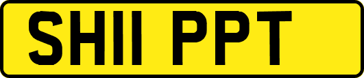 SH11PPT