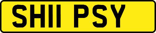 SH11PSY
