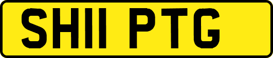 SH11PTG