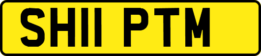 SH11PTM