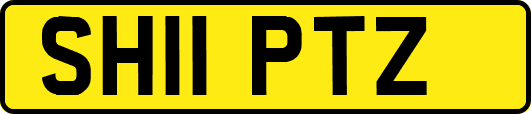 SH11PTZ