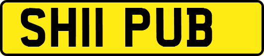 SH11PUB