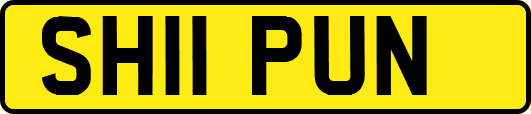 SH11PUN
