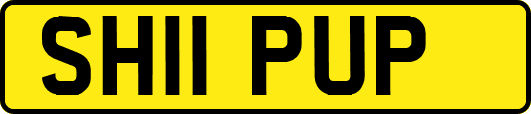 SH11PUP