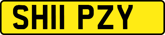 SH11PZY