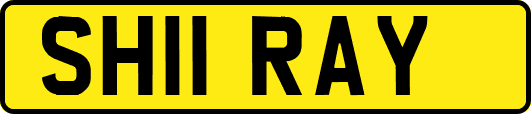 SH11RAY