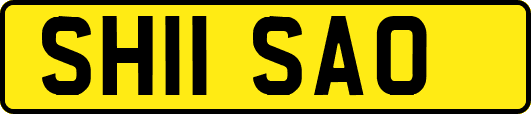 SH11SAO