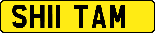 SH11TAM