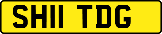 SH11TDG