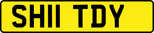 SH11TDY