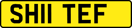 SH11TEF