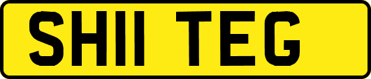 SH11TEG