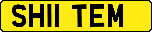 SH11TEM