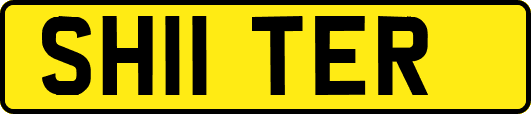 SH11TER