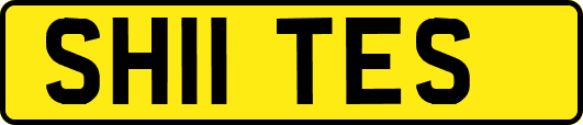 SH11TES