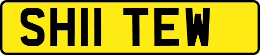 SH11TEW