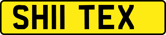 SH11TEX