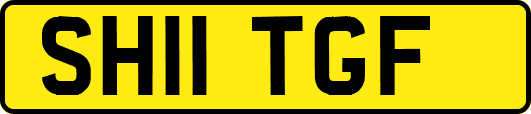 SH11TGF