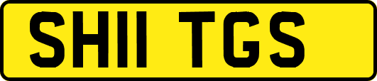 SH11TGS
